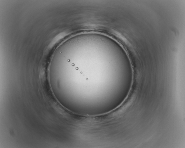 X0000114521259200910191147