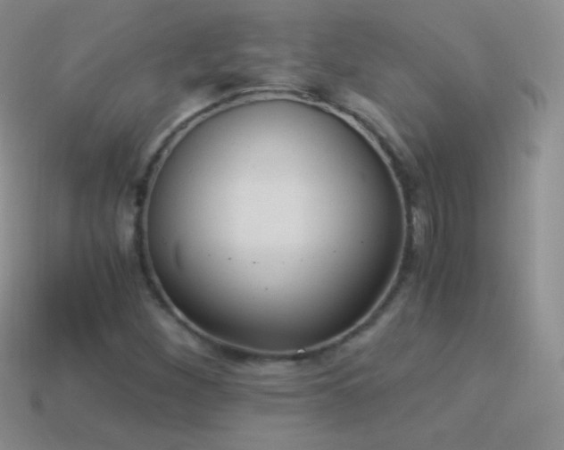 X0000114521260200910191147