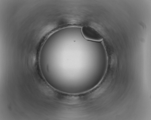 X0000114521261200910191147