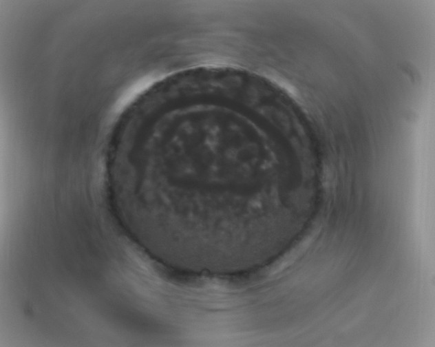 X0000114521263200910191147