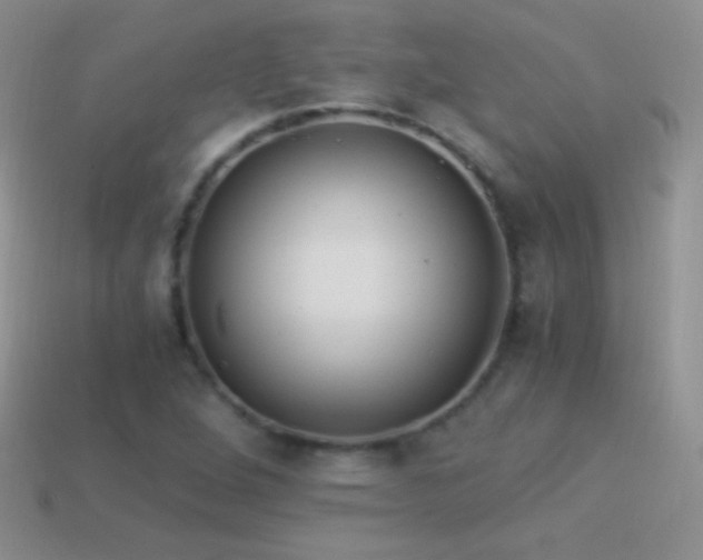 X0000114521264200910191147