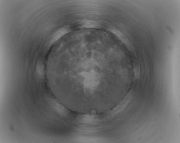 X0000114521266200910191147