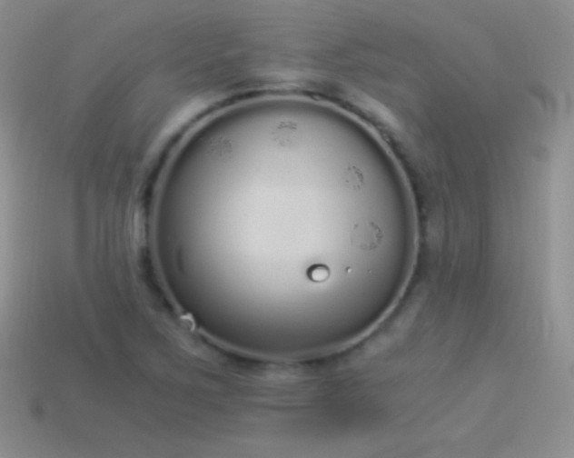 X0000114521267200910191147