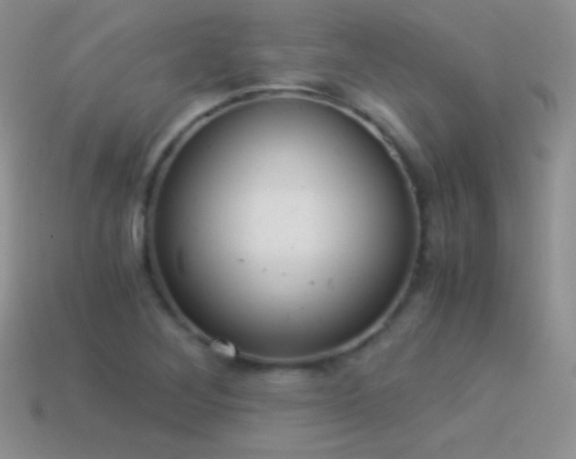X0000114521268200910191147