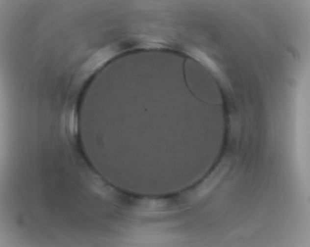 X0000114521269200910191147