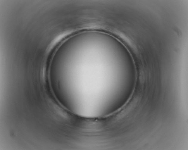 X0000114521270200910191147