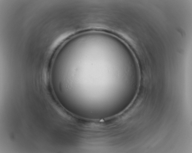 X0000114521271200910191147