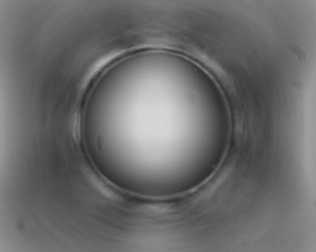 X0000114521272200910191147