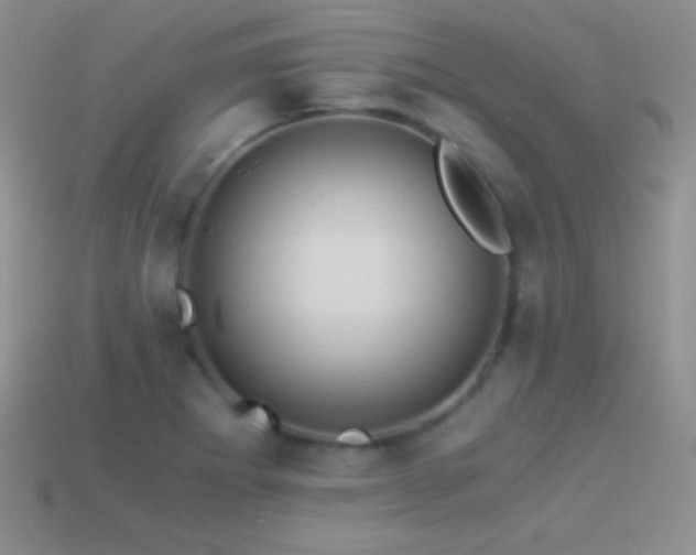 X0000114521273200910191147