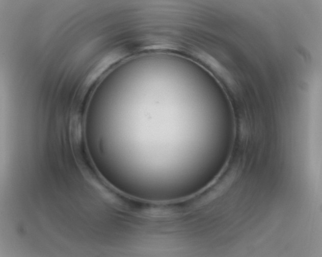 X0000114521274200910191147
