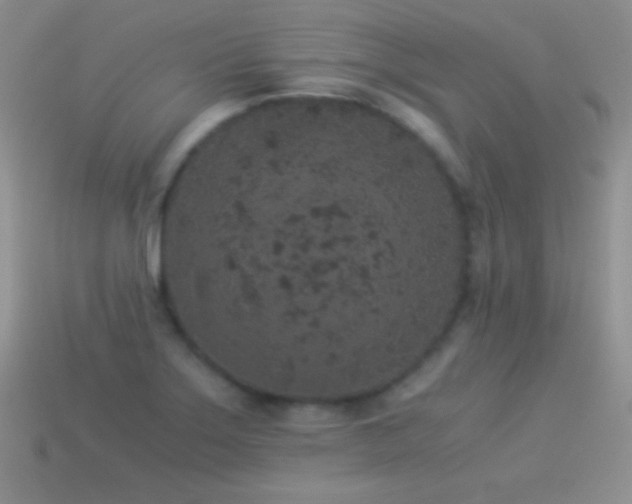 X0000114521275200910191147