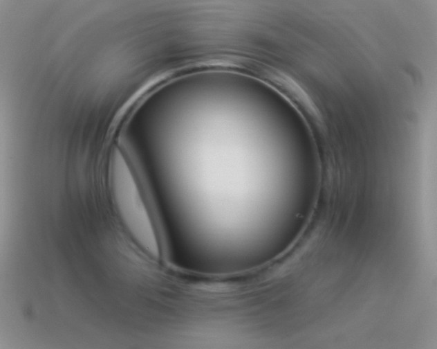 X0000114521276200910191147