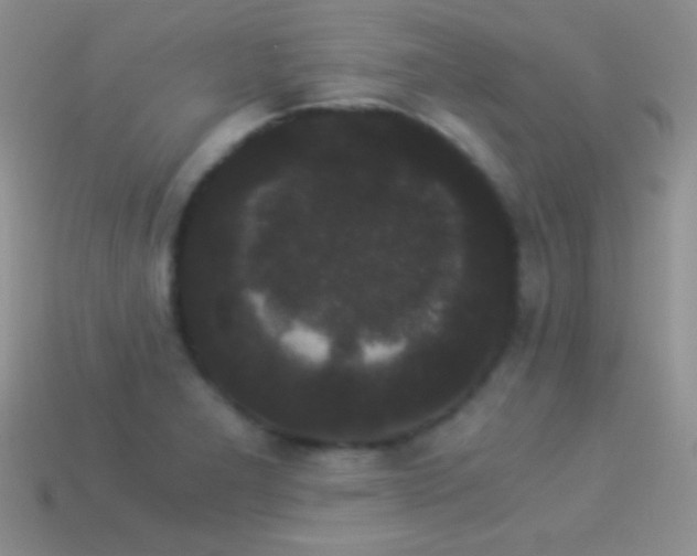 X0000114521277200910191147