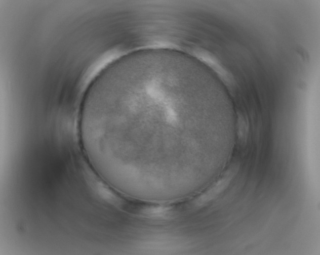 X0000114521278200910191147