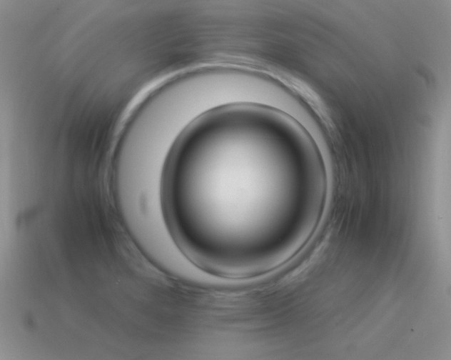 X0000114521280200910191147