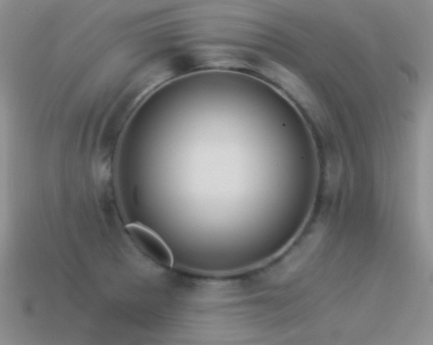 X0000114521281200910191147