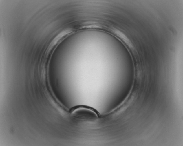 X0000114521282200910191146