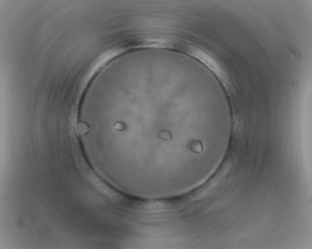 X0000114521283200910191146