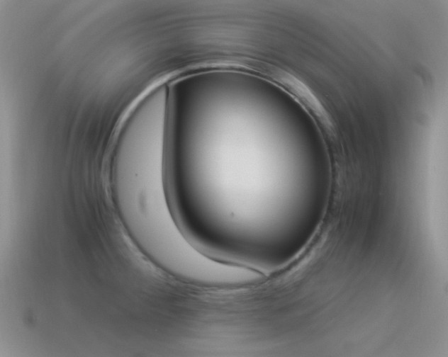 X0000114521284200910191146