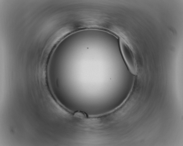 X0000114521285200910191146