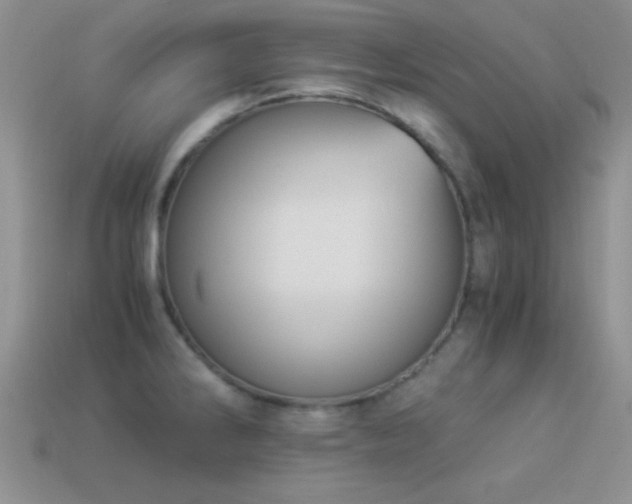 X0000114521286200910191146