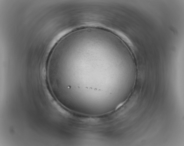 X0000114521287200910191146