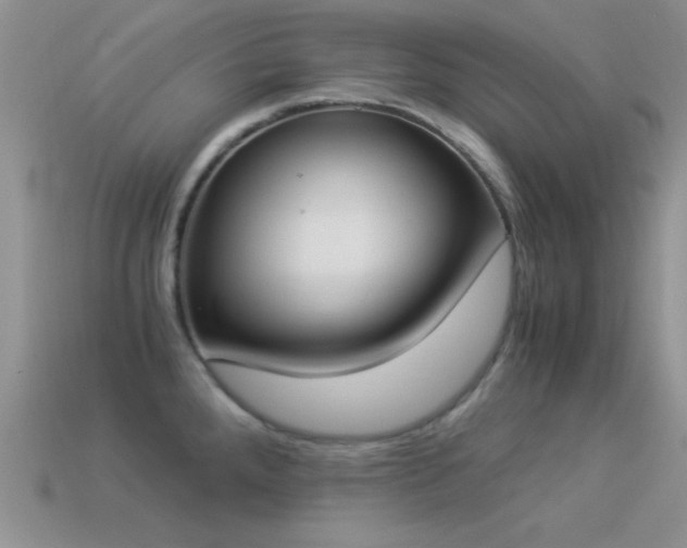 X0000114521288200910191146