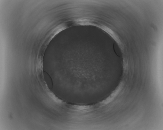 X0000114521289200910191146