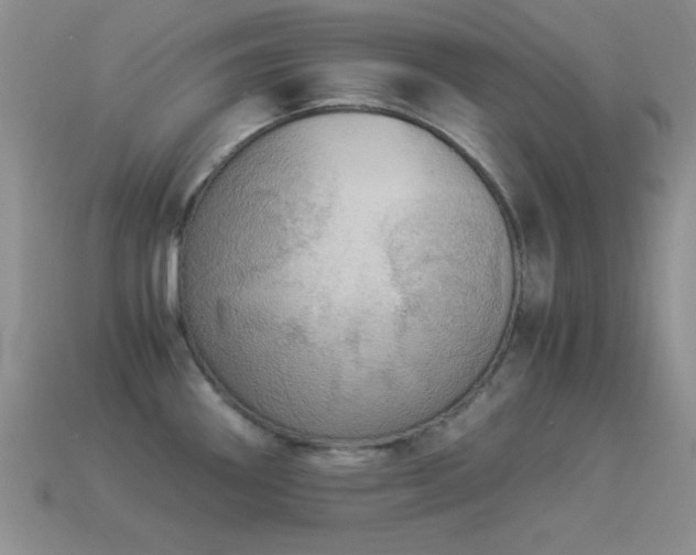 X0000114521290200910191146