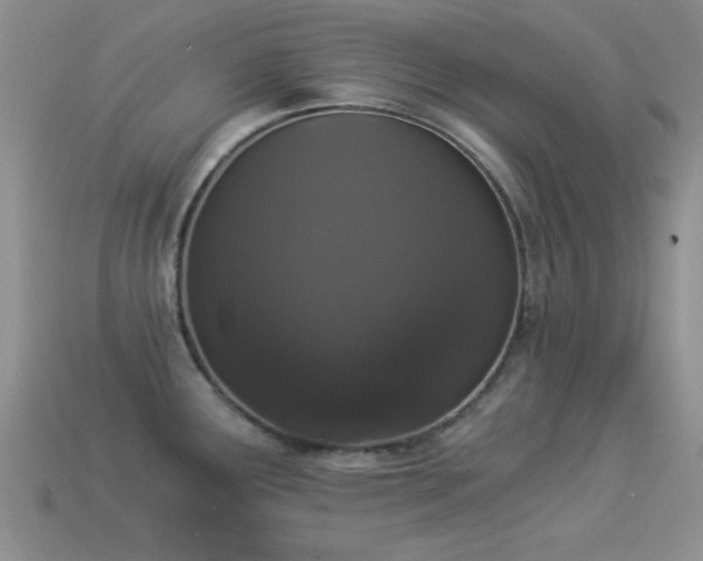 X0000114521291200910191146