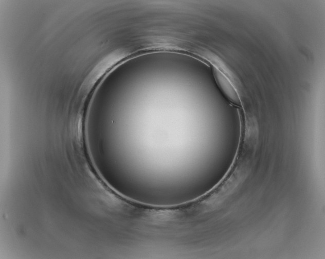 X0000114521293200910191146