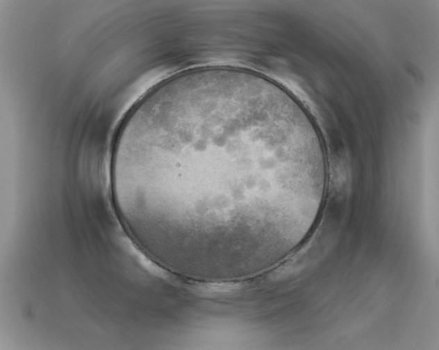 X0000114521294200910191146