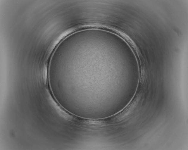 X0000114521295200910191146