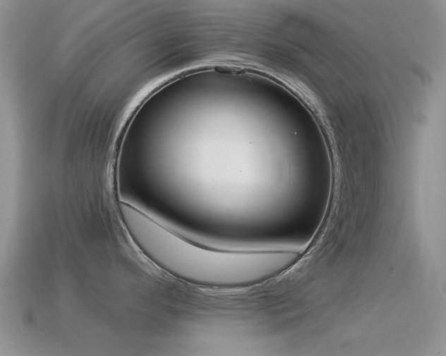 X0000114521296200910191146