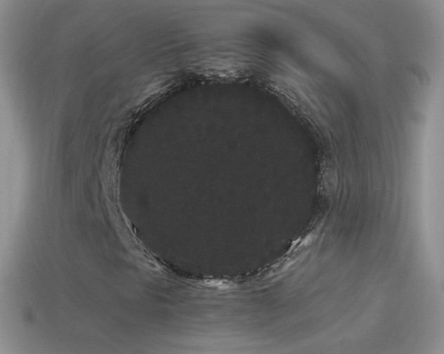 X0000114521297200910191146