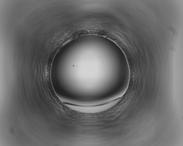 X0000114521298200910191146