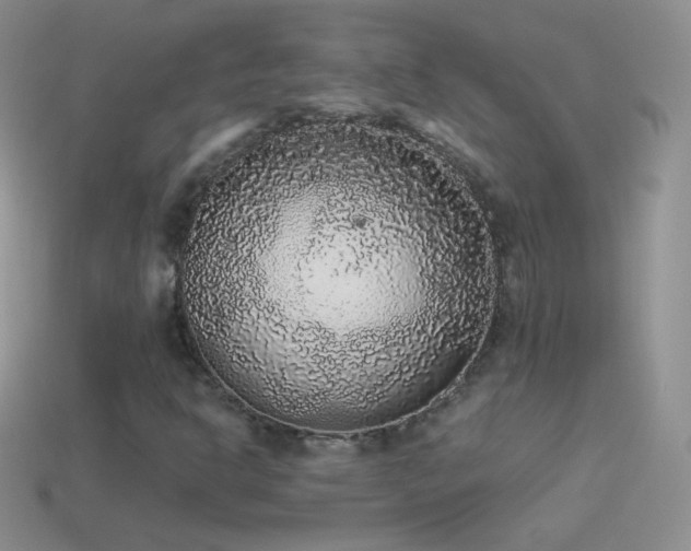 X0000114521302200910191146