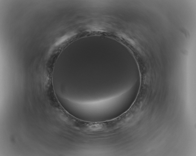 X0000114521303200910191146