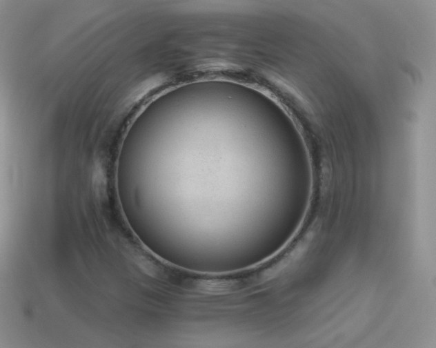X0000114521305200910191146