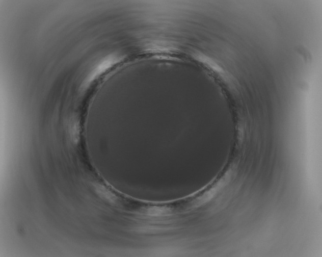 X0000114521306200910191146