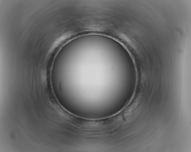 X0000114521307200910191146