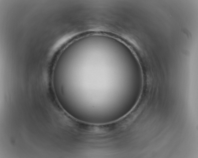 X0000114521311200910191146