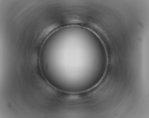 X0000114521313200910191146