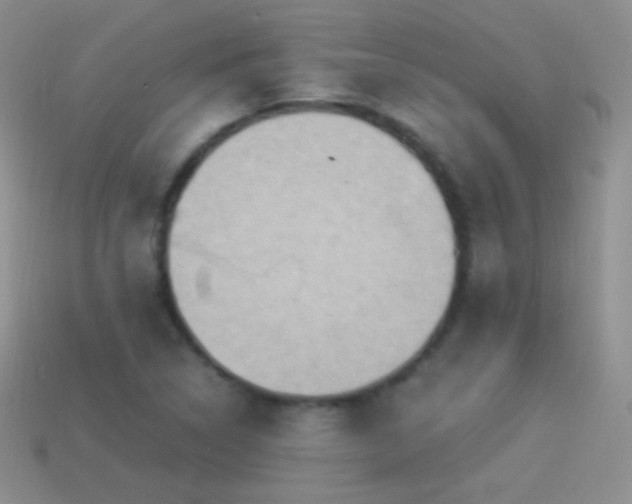 X0000114521314200910191146