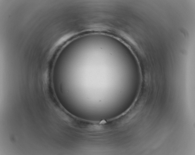 X0000114521315200910191146
