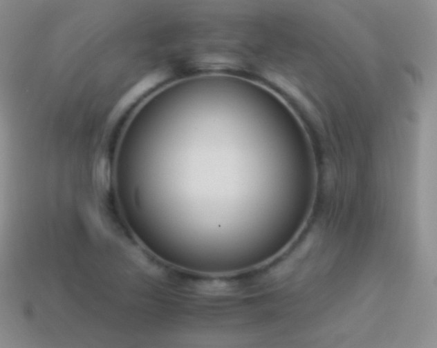 X0000114521317200910191146