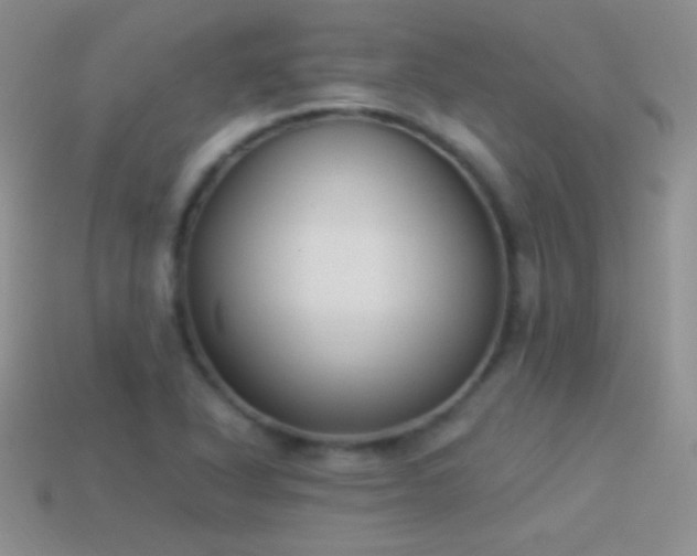 X0000114521318200910191146