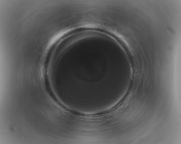 X0000114521319200910191146