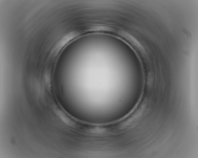 X0000114521321200910191146