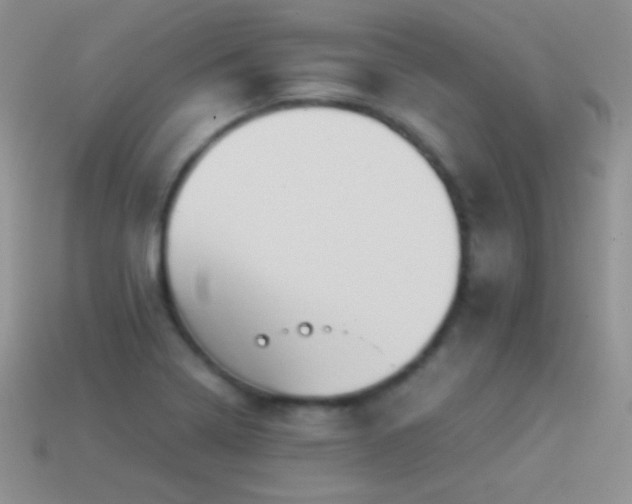 X0000114521322200910191146